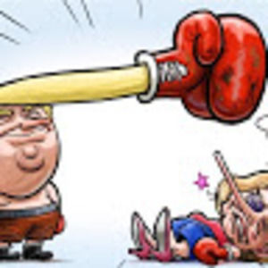 Meet your Posher, Bradley